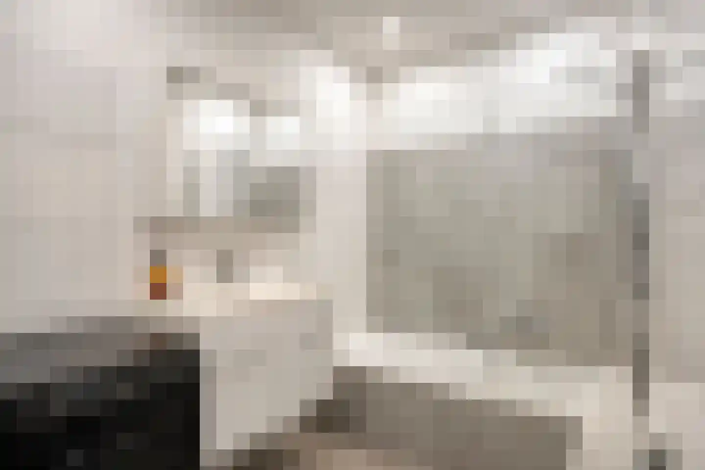 Pessershof 77 Geldrop thumbnail 10