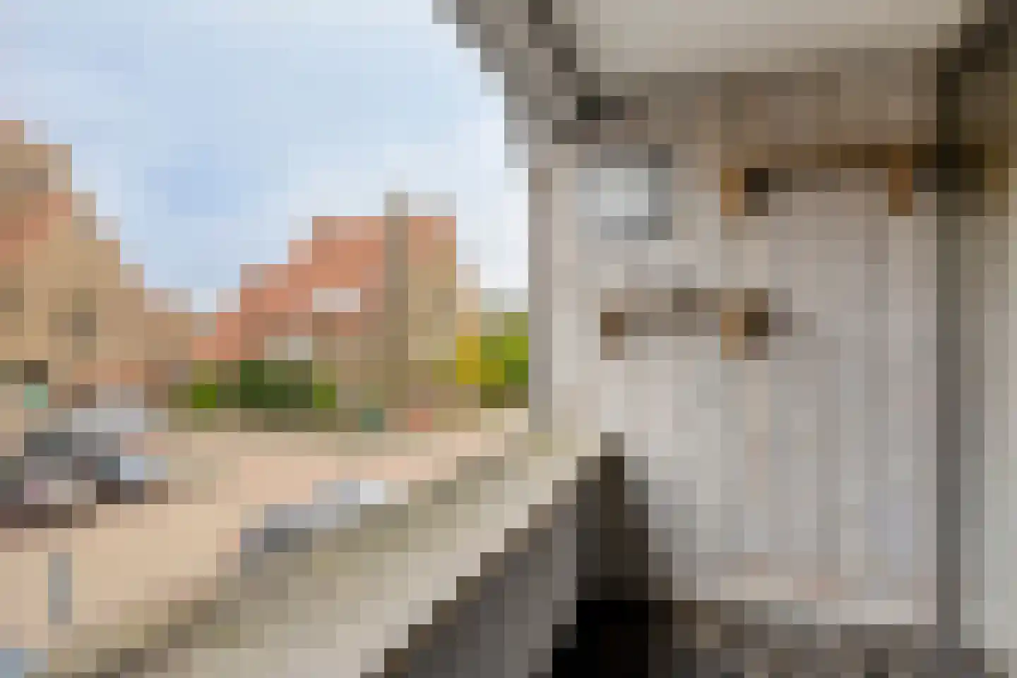 Pessershof 77 Geldrop thumbnail 12