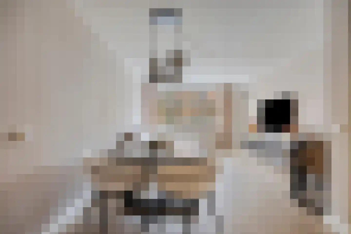 Pessershof 77 Geldrop thumbnail 4