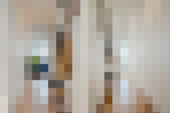 Pessershof 85 Geldrop thumbnail 10