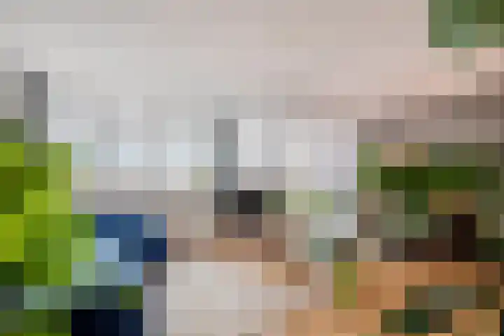 Pessershof 85 Geldrop thumbnail 11