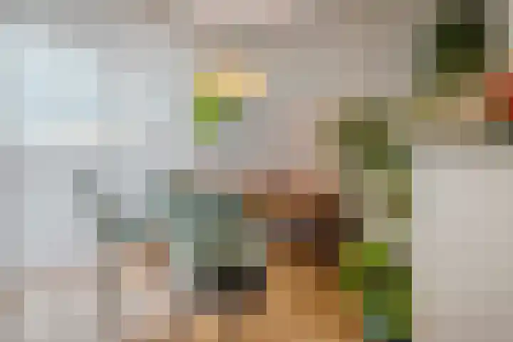 Pessershof 85 Geldrop thumbnail 15