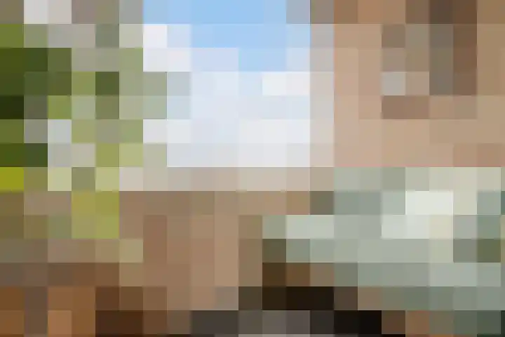 Pessershof 85 Geldrop thumbnail 16