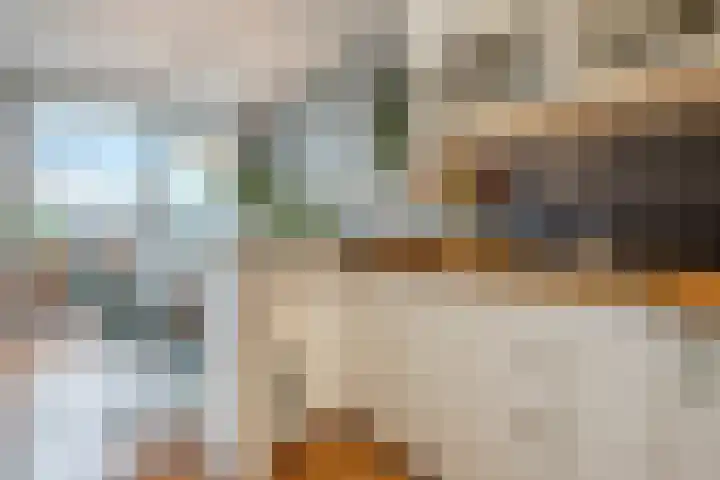Pessershof 85 Geldrop thumbnail 17