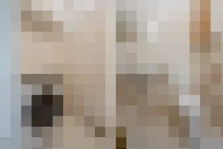 Pessershof 85 Geldrop thumbnail 22
