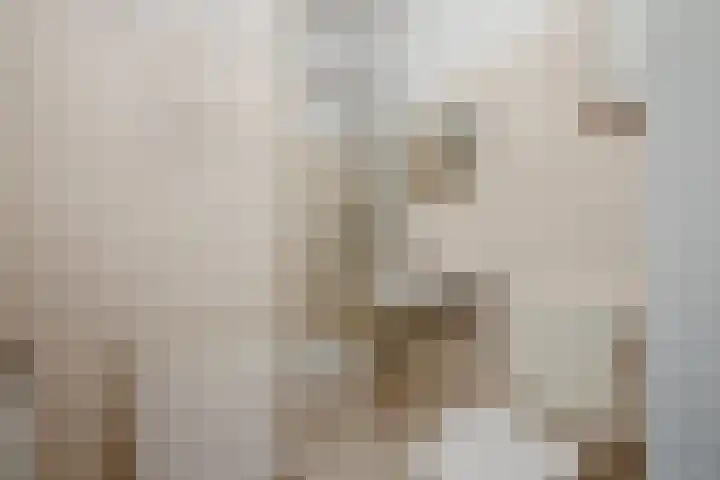 Pessershof 85 Geldrop thumbnail 25