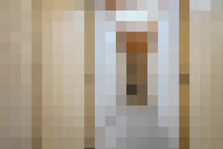 Pessershof 85 Geldrop thumbnail 26