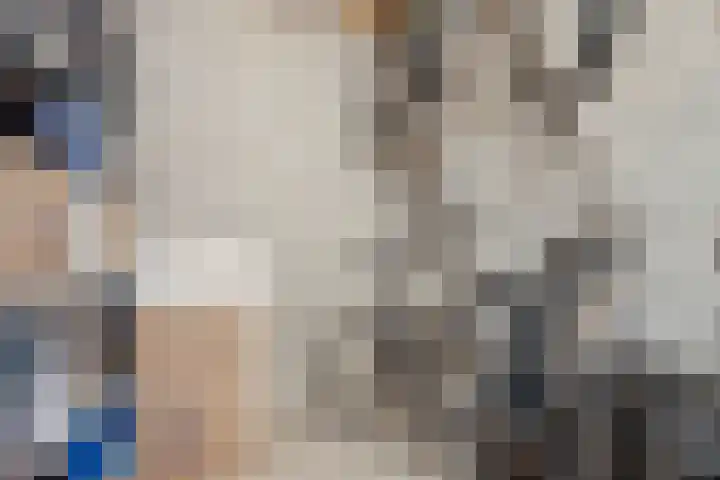 Pessershof 85 Geldrop thumbnail 27