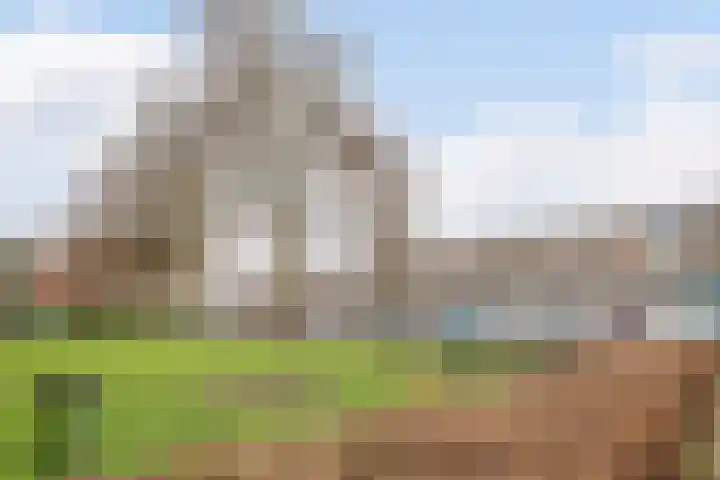 Pessershof 85 Geldrop thumbnail 29