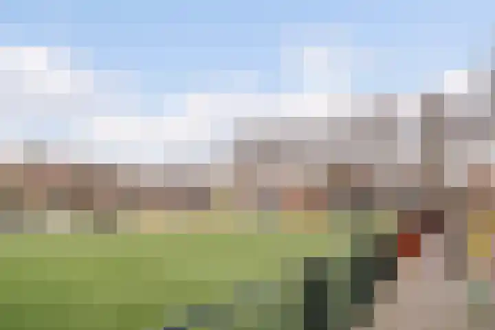 Pessershof 85 Geldrop thumbnail 31