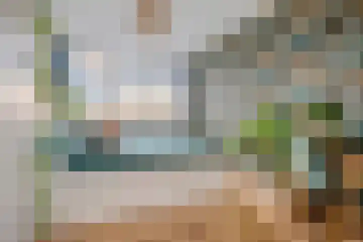 Pessershof 85 Geldrop thumbnail 4