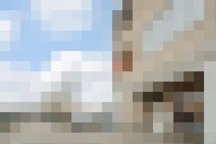 Pessershof 85 Geldrop thumbnail 5