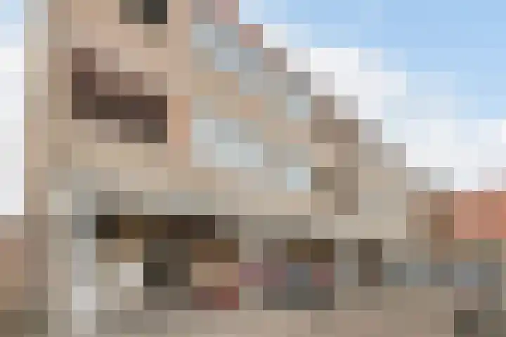 Pessershof 85 Geldrop thumbnail 6