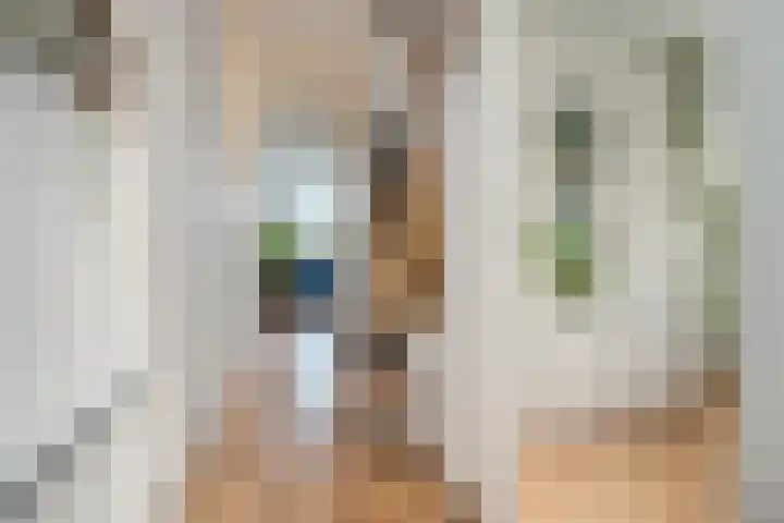 Pessershof 85 Geldrop thumbnail 9