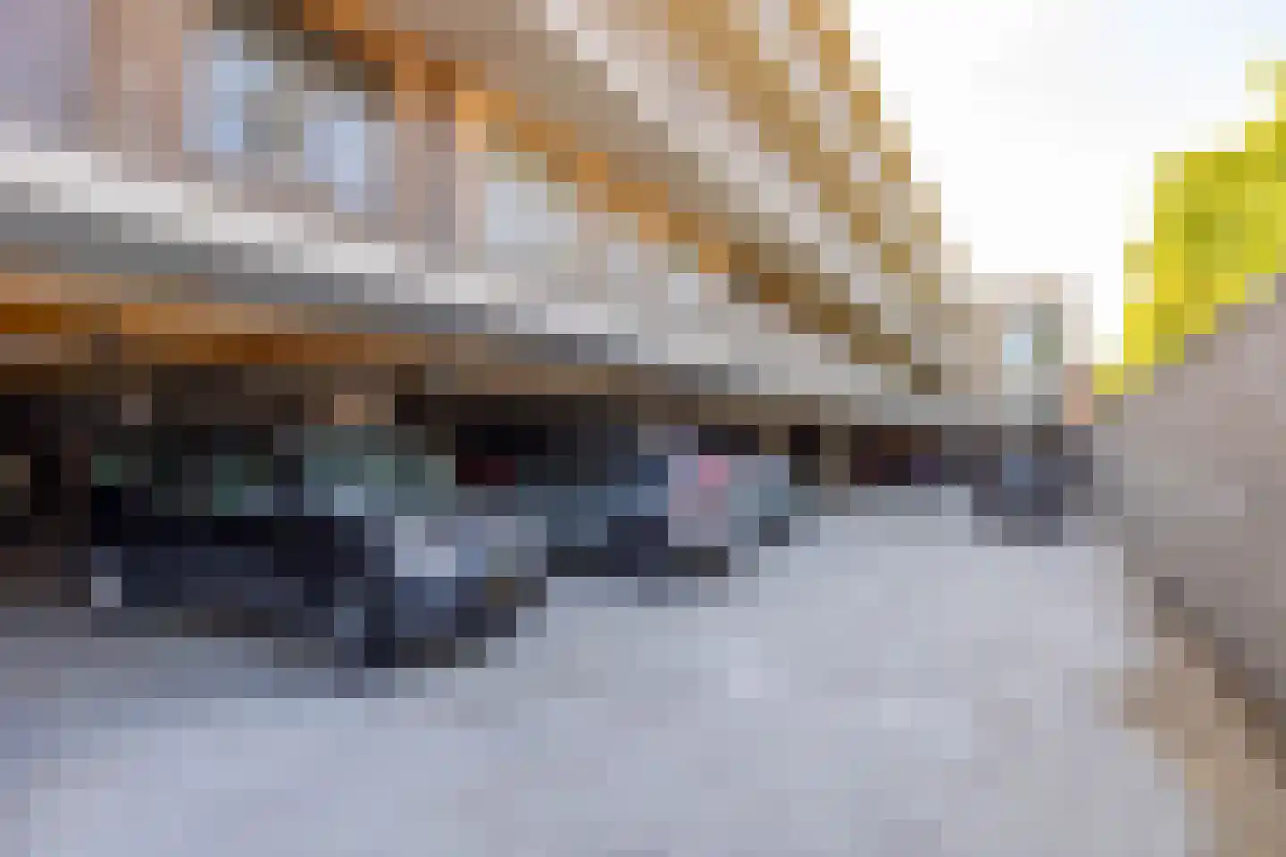 Pesserstraat 2 24 Hoogeveen thumbnail 7