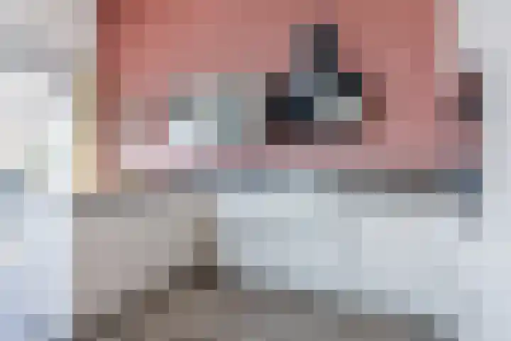 Pesserstraat 2 28 Hoogeveen thumbnail 10
