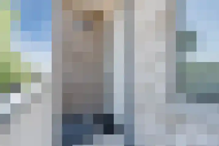 Pesserstraat 2 28 Hoogeveen thumbnail 23