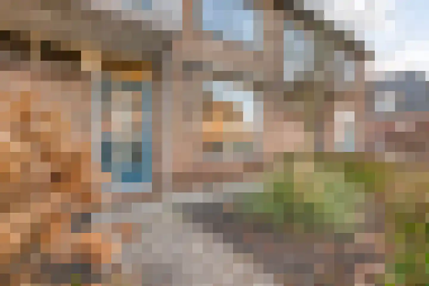 Pesserstraat 36 Hoogeveen thumbnail 47