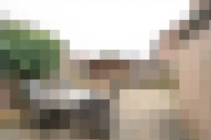 Pesserstraat 42 Hoogeveen thumbnail 38