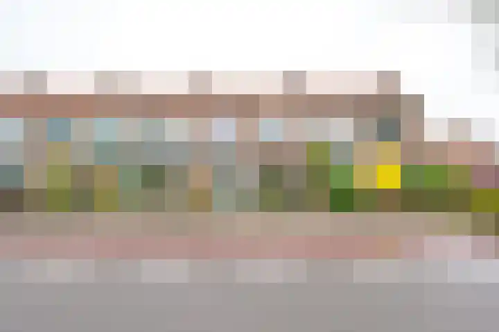 Pesserstraat 42 Hoogeveen thumbnail 43