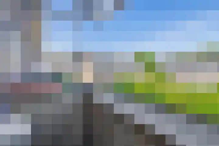 Petemoederslaan 13 BS Utrecht thumbnail 15