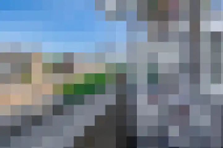 Petemoederslaan 13 BS Utrecht thumbnail 16
