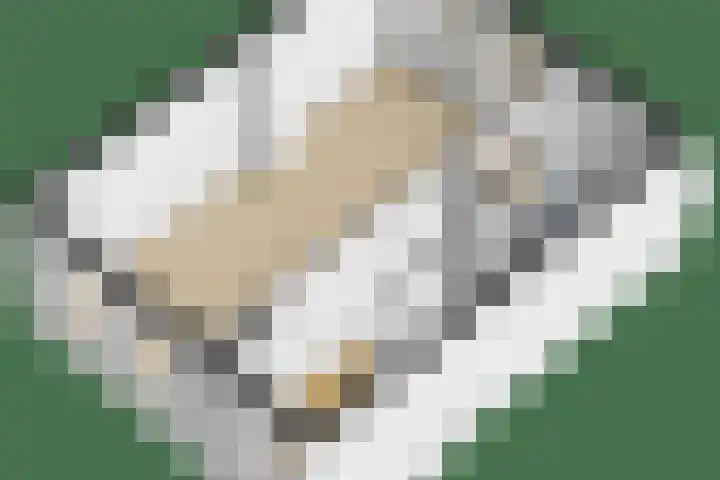 Petemoederslaan 13 BS Utrecht thumbnail 33