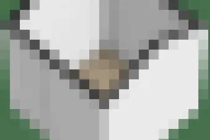 Petemoederslaan 13 BS Utrecht thumbnail 39