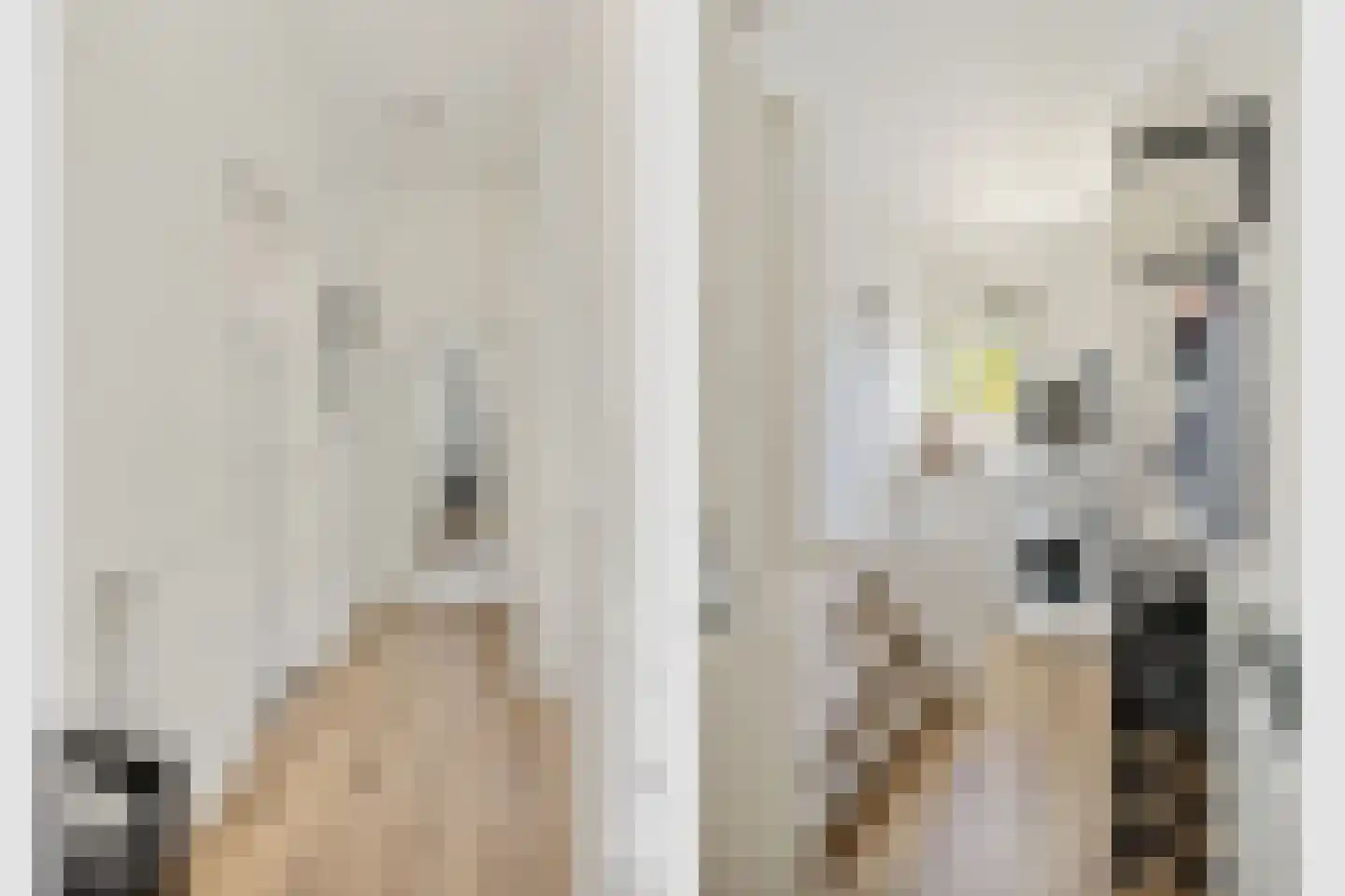 Petemoederslaan 14 BS Utrecht thumbnail 21