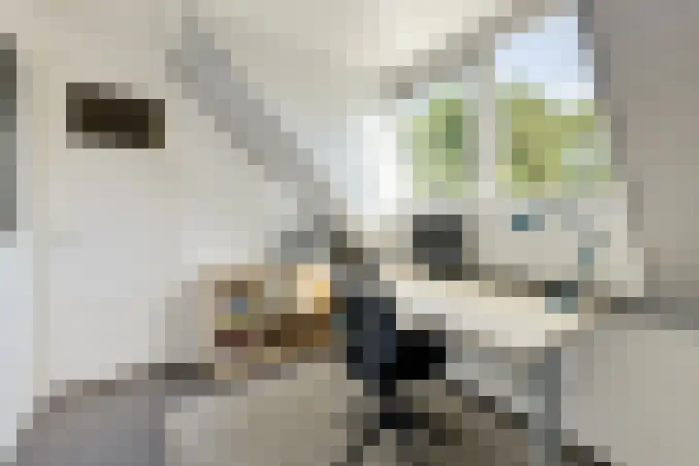 Petemoederslaan 14 BS Utrecht thumbnail 27