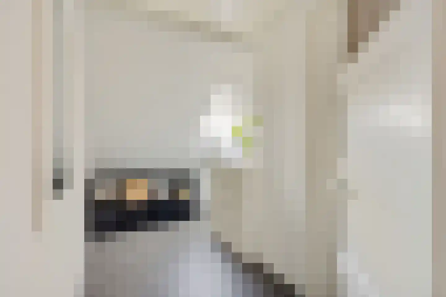 Petemoederslaan 14 BS Utrecht thumbnail 31