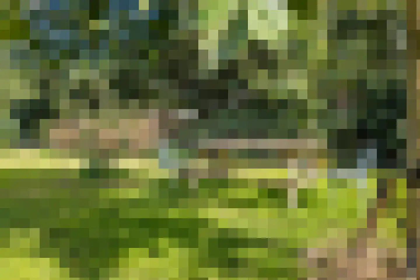 Petemoederslaan 14 BS Utrecht thumbnail 35