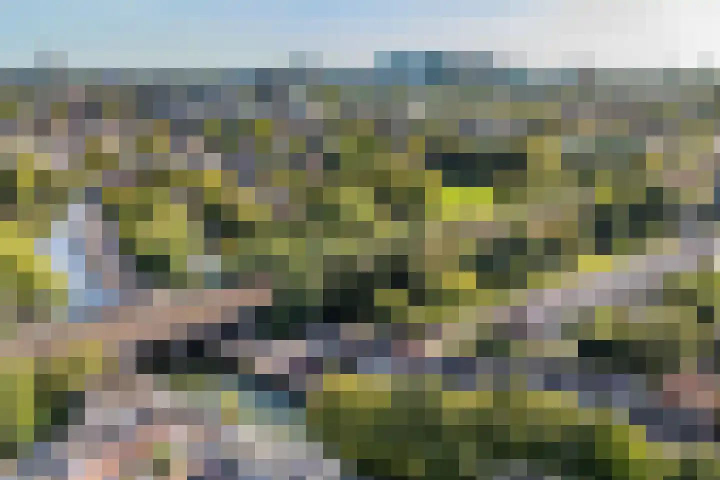 Petemoederslaan 14 BS Utrecht thumbnail 40