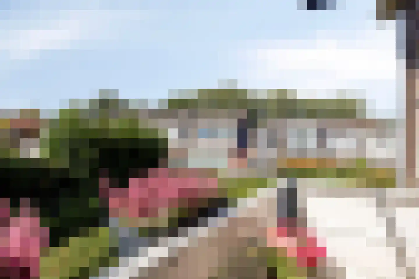 Petemoederslaan 3 BSA Utrecht thumbnail 13