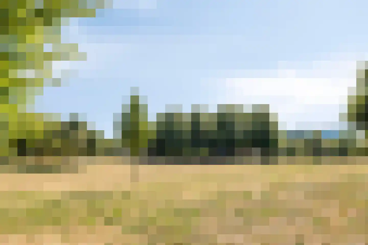 Petemoederslaan 3 BSA Utrecht thumbnail 32