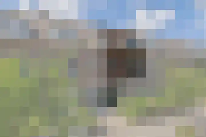 Petemoederslaan 6 BSA Utrecht thumbnail 5