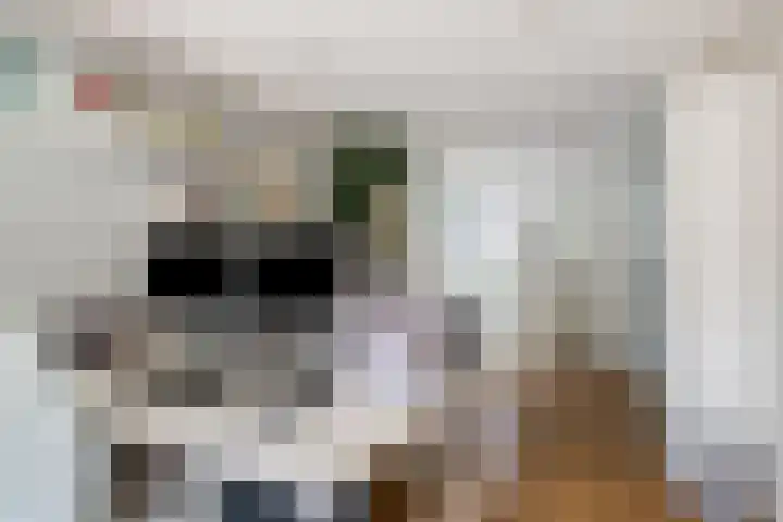 Petenbos 25 Veenendaal thumbnail 18