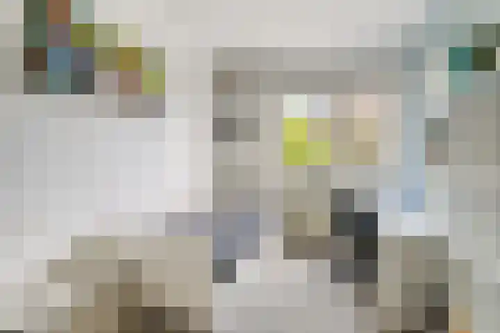 Petenbos 25 Veenendaal thumbnail 22