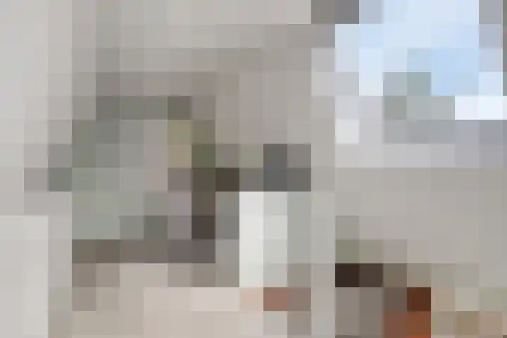 Petenbos 25 Veenendaal thumbnail 28