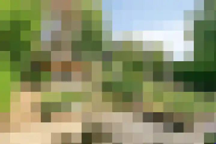 Petenbos 25 Veenendaal thumbnail 31