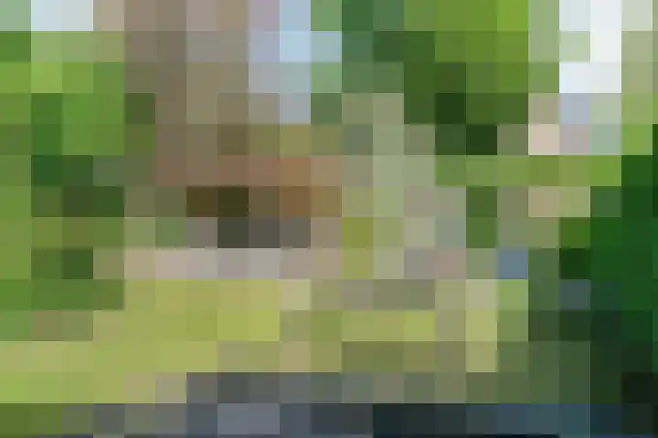Petenbos 25 Veenendaal thumbnail 32