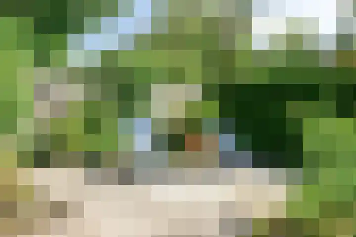 Petenbos 25 Veenendaal thumbnail 34