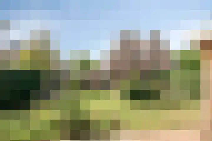 Petenbos 25 Veenendaal thumbnail 35