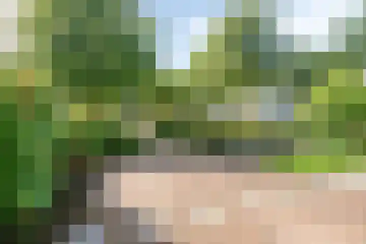 Petenbos 25 Veenendaal thumbnail 37