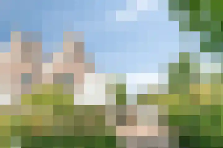 Petenbos 25 Veenendaal thumbnail 38
