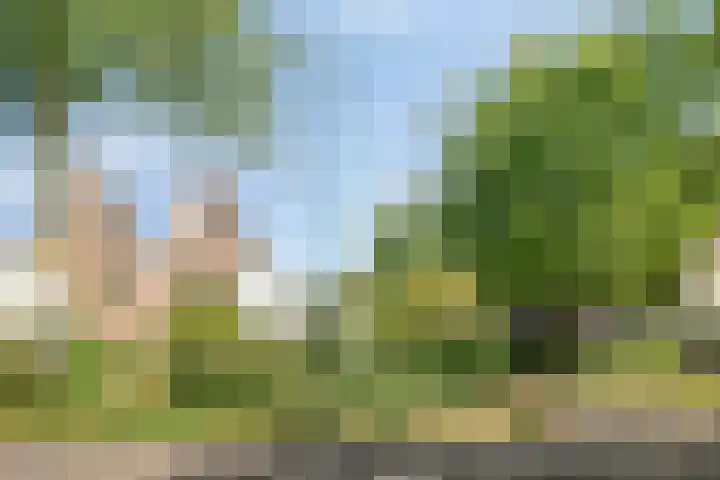Petenbos 25 Veenendaal thumbnail 39