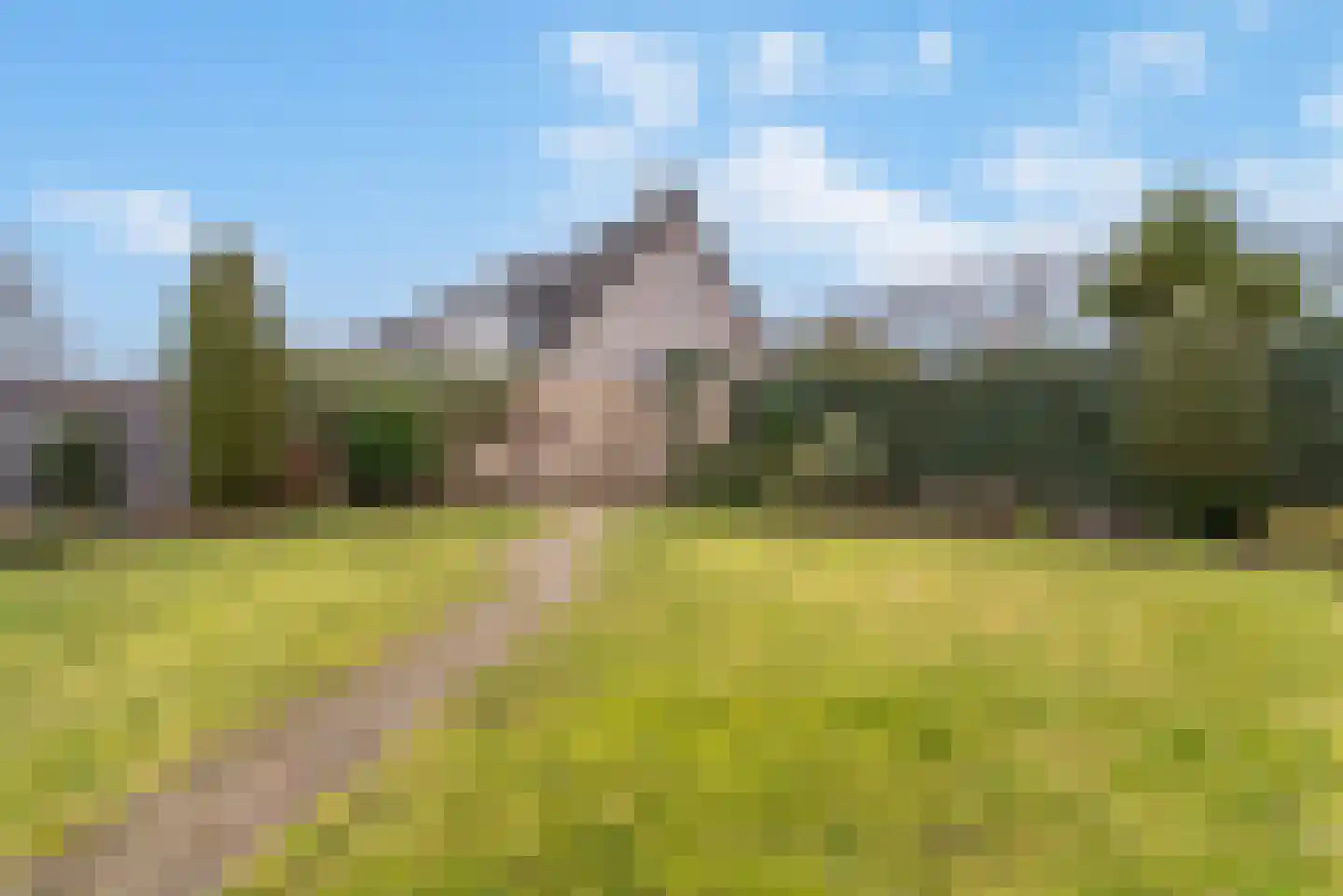 Petenbos 41 Veenendaal thumbnail 29