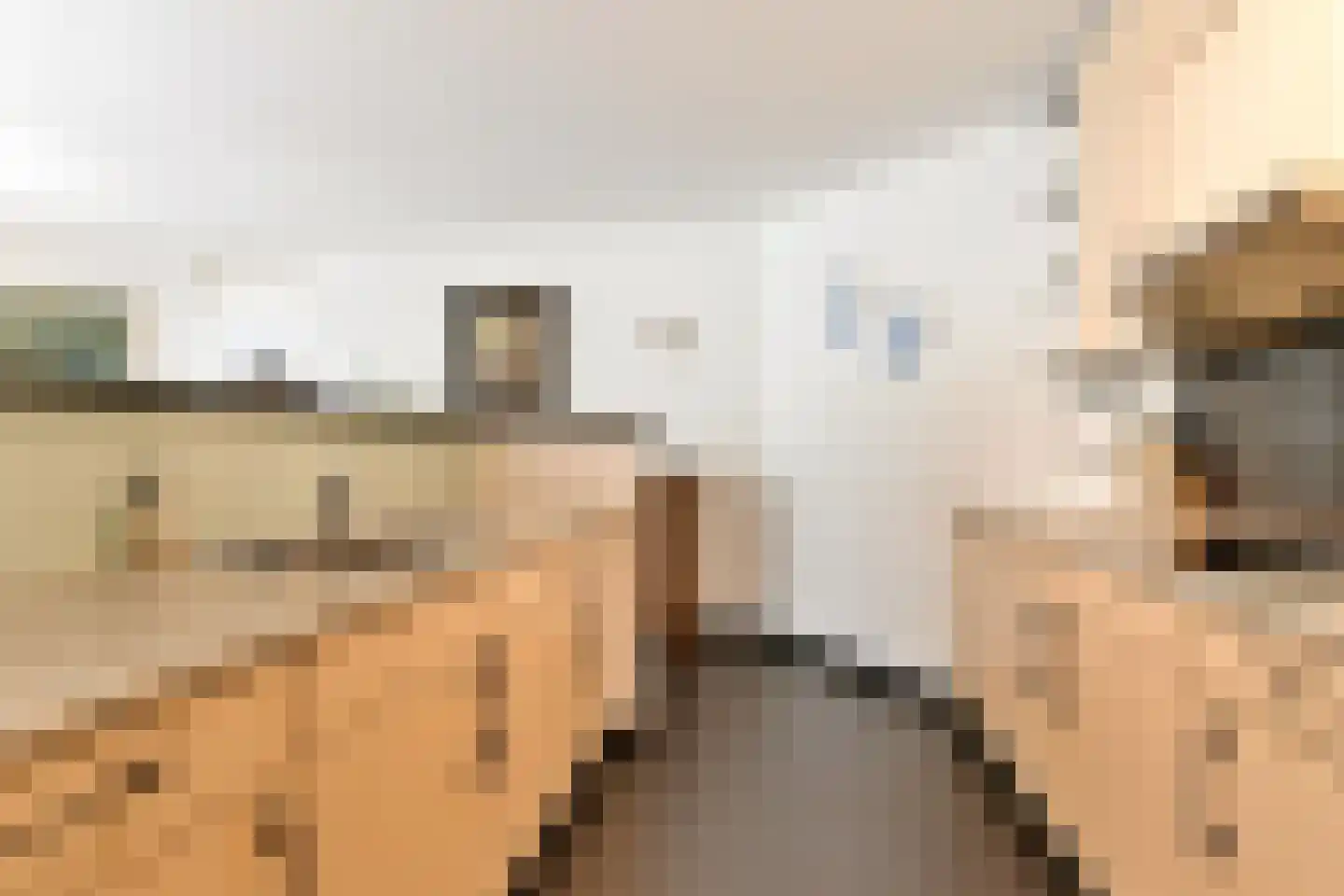 Peter Benensonstraat 10 Goirle thumbnail 17
