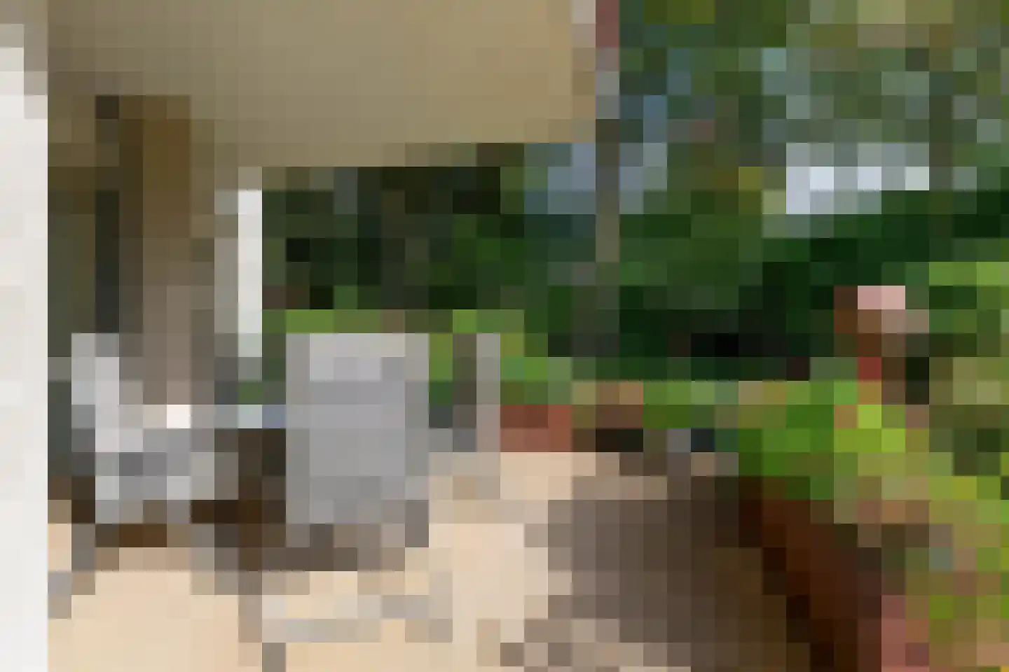 Peter Benensonstraat 10 Goirle thumbnail 30