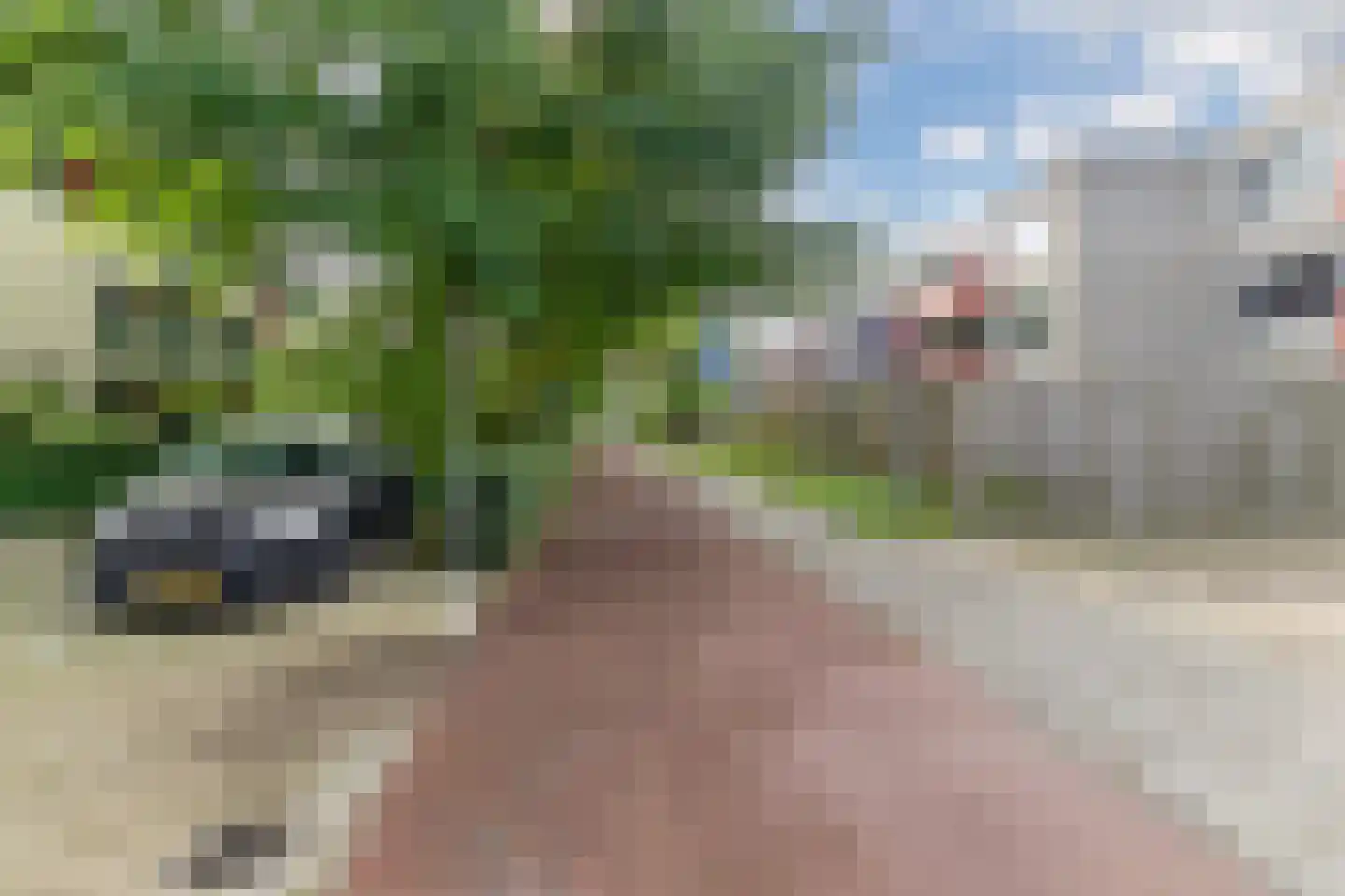 Peter Benensonstraat 10 Goirle thumbnail 42
